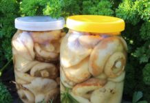 Маринованные грузди в банках